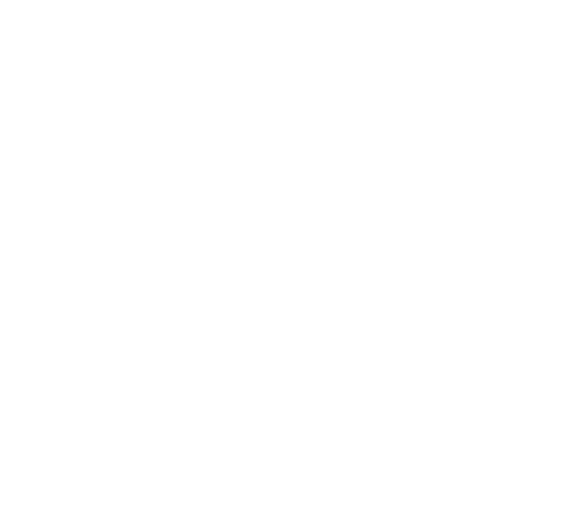 GATTI 2